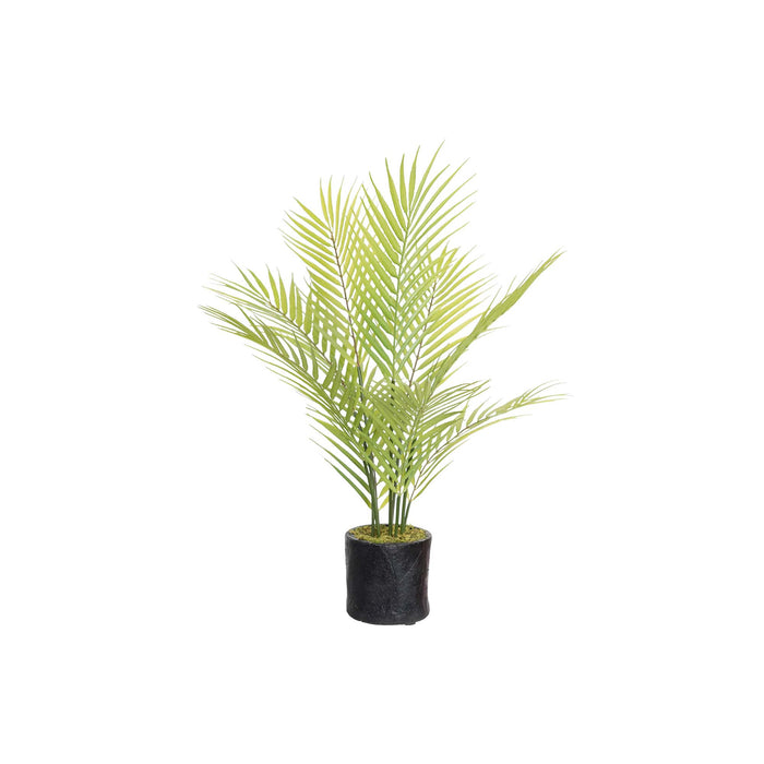 Butterfly Palm Tree 61cm Set of 2