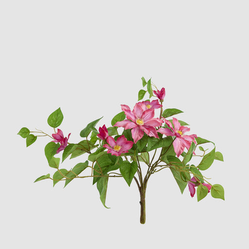 Artificial UV Trailing Clematis Bush Fuchsia 50cm Fuchsia - FLORA DESIGNS