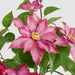 Artificial UV Trailing Clematis Bush Fuchsia 50cm Fuchsia - FLORA DESIGNS