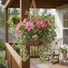 Artificial UV Trailing Clematis Bush Fuchsia 50cm Fuchsia - FLORA DESIGNS