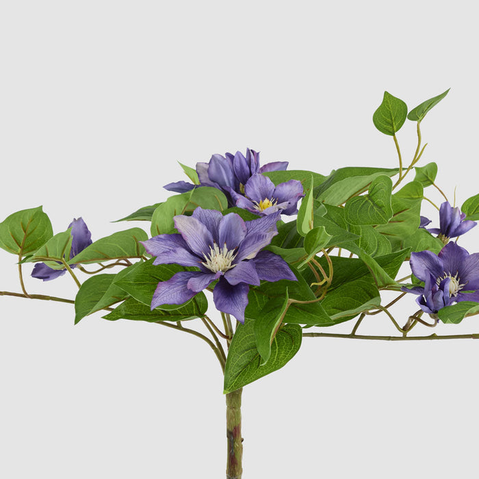 Artificial UV Trailing Clematis Bush Purple 50cm Purple - FLORA DESIGNS