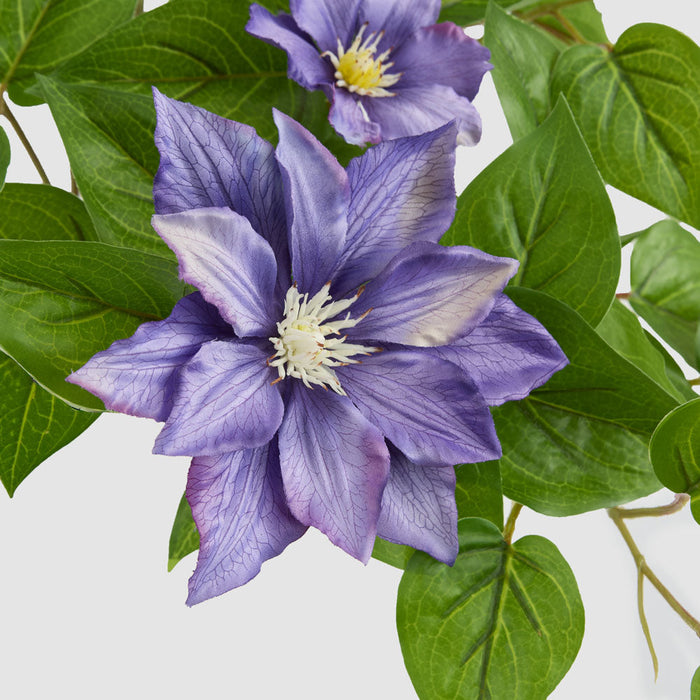 Artificial UV Trailing Clematis Bush Purple 50cm Purple - FLORA DESIGNS