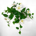 Artificial UV Trailing Clematis Bush White 50cm White - FLORA DESIGNS