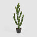 Artificial Potted Cactus 98Cm 98cm Green - FLORA DESIGNS