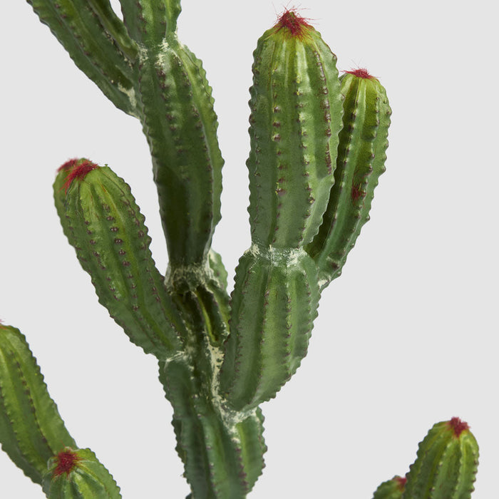 Artificial Potted Cactus 98Cm 98cm Green - FLORA DESIGNS