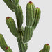 Artificial Potted Cactus 98Cm 98cm Green - FLORA DESIGNS