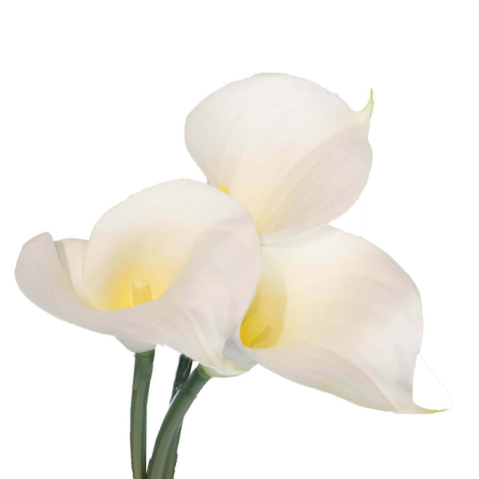 Calla Lily Stem White 85cm Real Touch Pack of 6