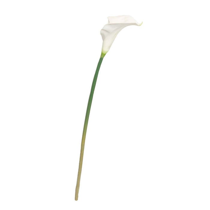 Calla Lily Stem White 85cm Real Touch Pack of 6