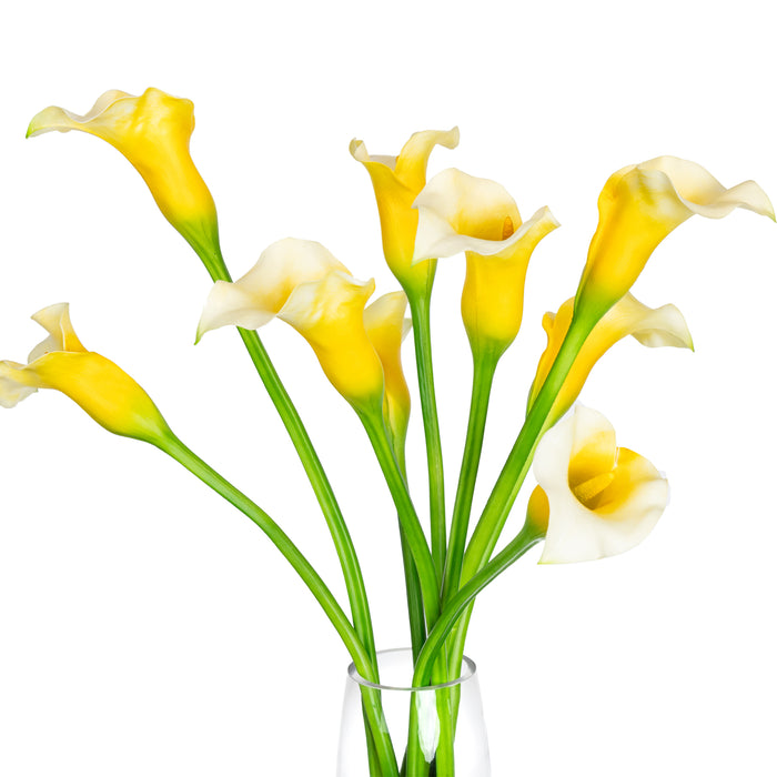 Calla Lily Yellow in Glass Vase - 60cm