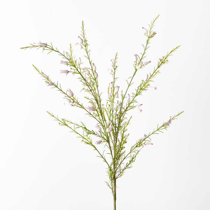 Calluna Sprayed Calluna Spray Cream Pink 104cm - Pack of 12 — Flora Designs Australia