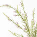 Calluna Spray Cream Pink 104cm - Pack of 12