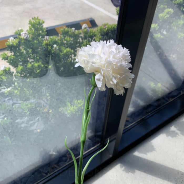 Carnation Stem 47cm Ivory White Pack of 12