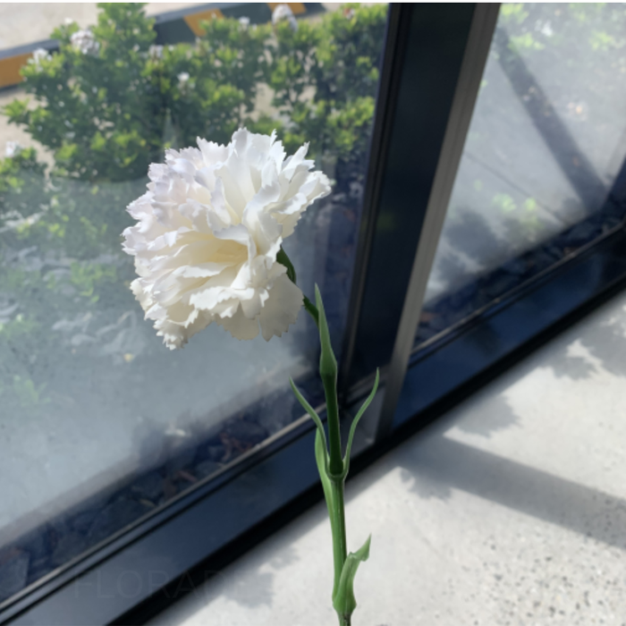 Carnation Stem 47cm Ivory White Pack of 12