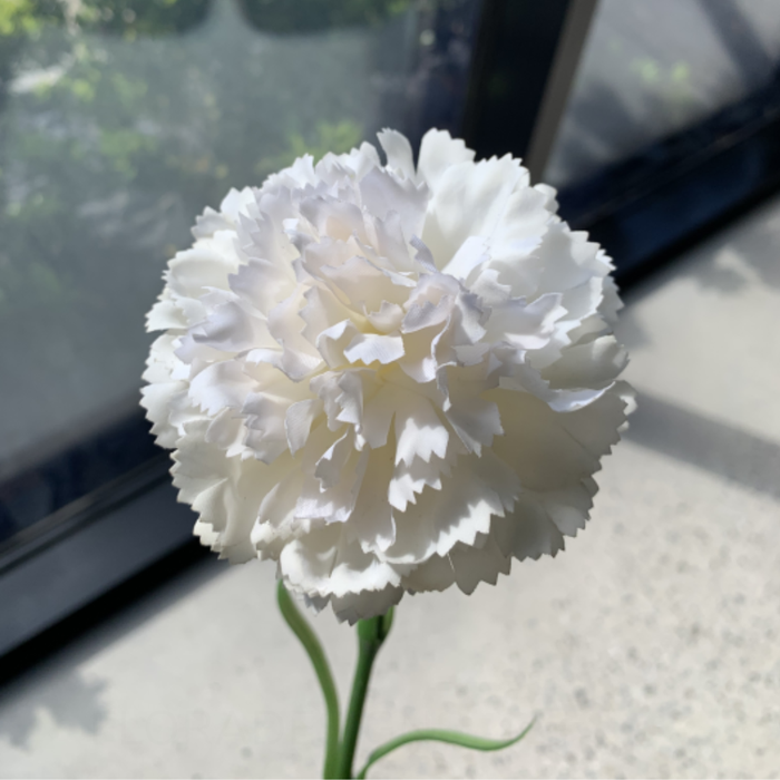 Carnation Stem 47cm Ivory White Pack of 12