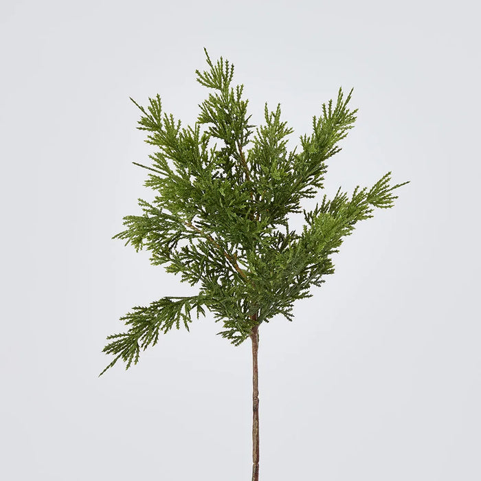 Cedar Bush 46cm Dark Green Pack of 24