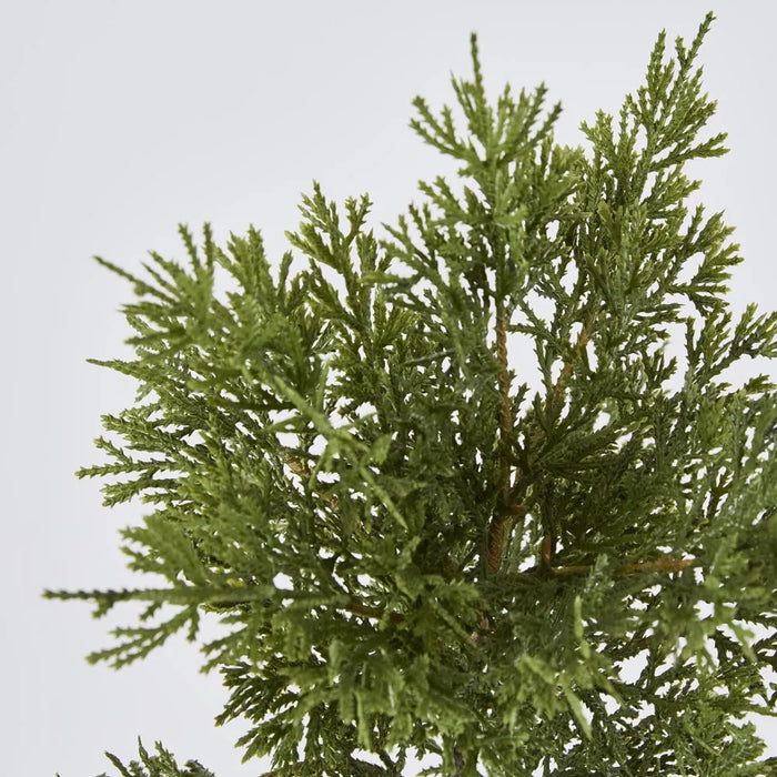 Cedar Bush 46cm Dark Green Pack of 24