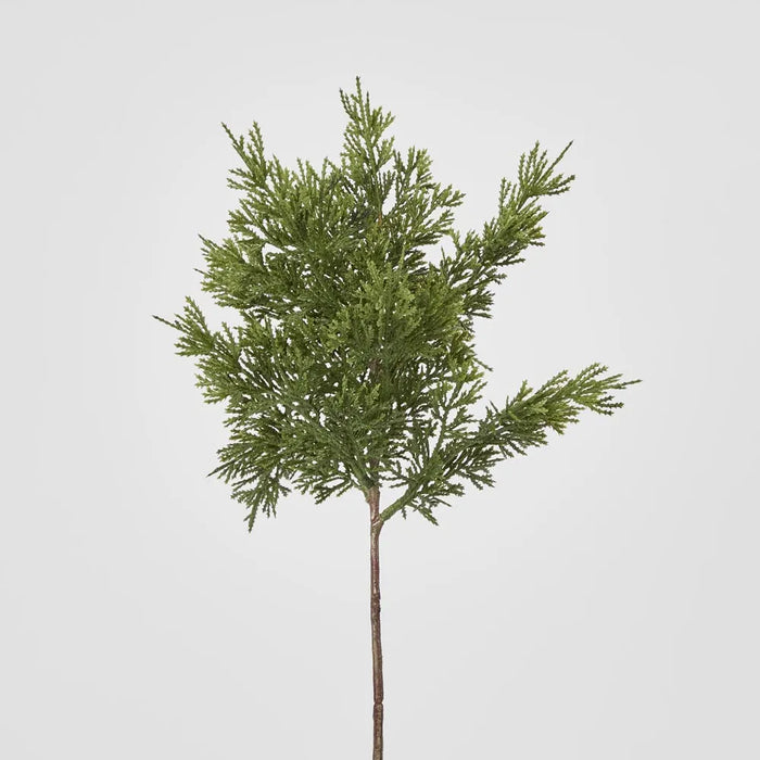 Cedar Bush 46cm Dark Green Pack of 24