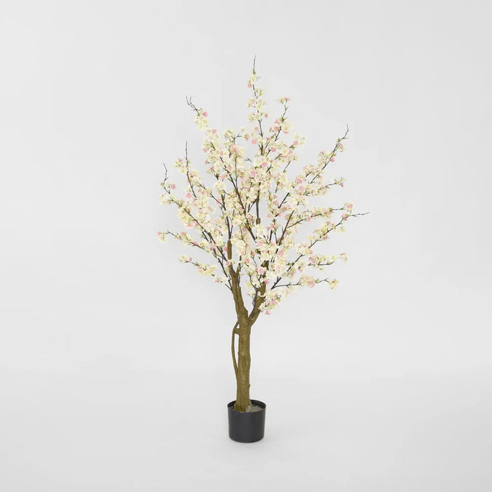 Cherry Blossom Tree Light Pink 145cm