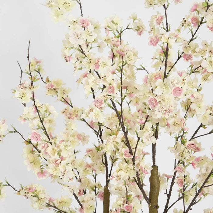 Cherry Blossom Tree Light Pink 145cm
