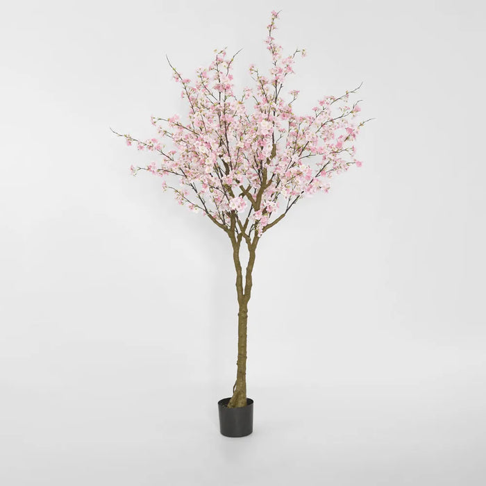 Cherry Blossom Tree Pink 190cm