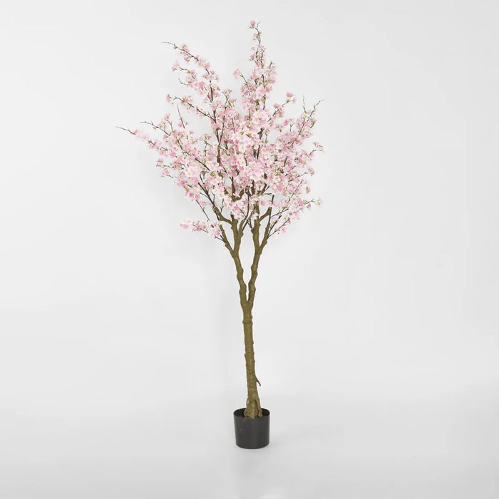 Cherry Blossom Tree Pink 190cm
