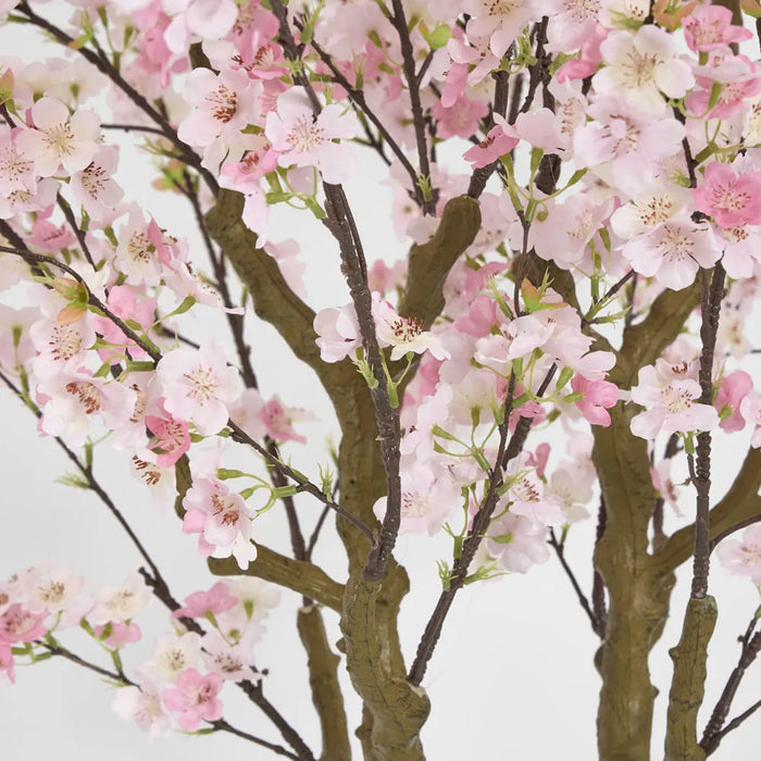 Cherry Blossom Tree Pink 190cm
