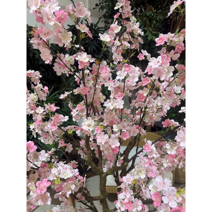 Cherry Blossom Tree Pink 190cm