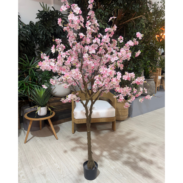 Cherry Blossom Tree Pink 190cm