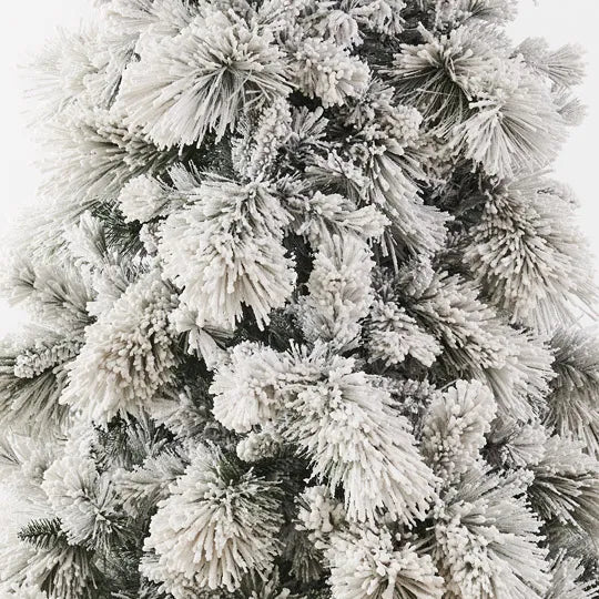 Christmas Tree Pine Aspen White 229cm