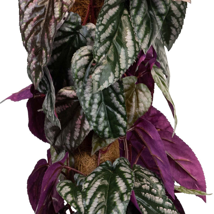 Cissus Plant On Pole - 68cm