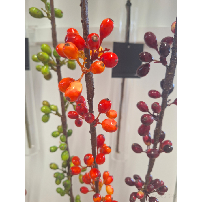 Coffee Bean Spray Flame Red 100cm - Pack of 12