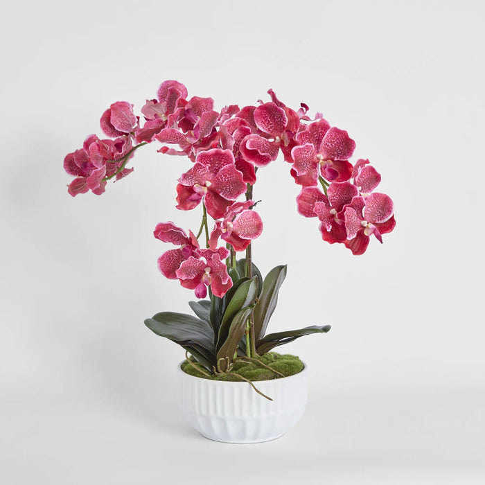 Colette Arrangement 65cm Pink in White Pot