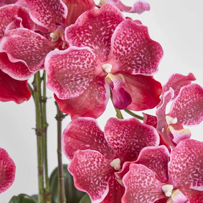 Colette Arrangement 65cm Pink in White Pot