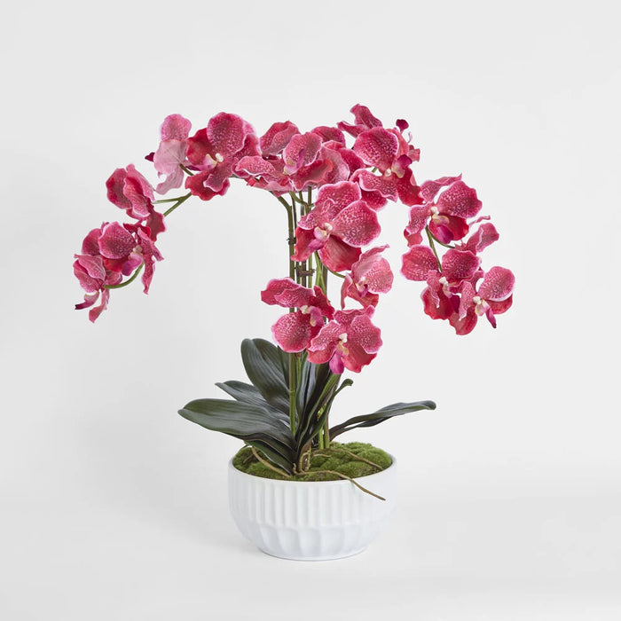 Colette Arrangement 65cm Pink in White Pot