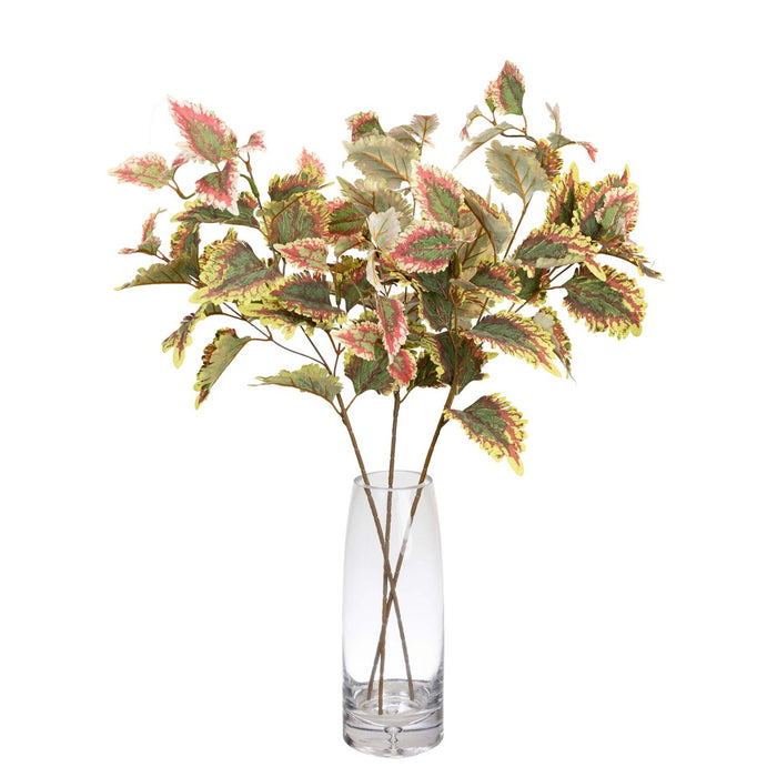 Coleus Spray 75cm Pack of 12