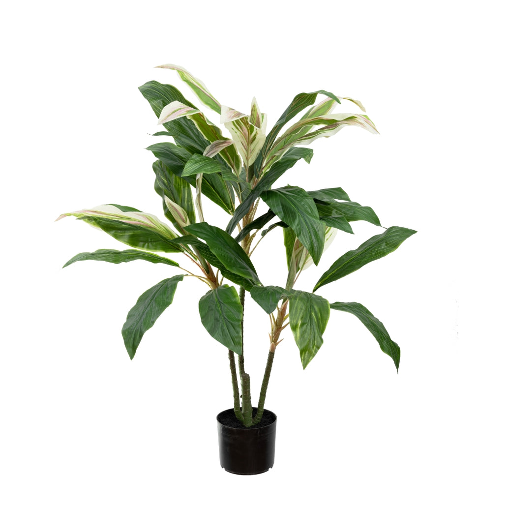 Artificial Cordyline Plant 114cm — Flora Designs Australia