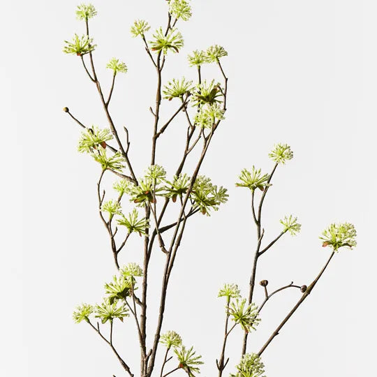 Cornus Spray White 140cm - Pack of 6