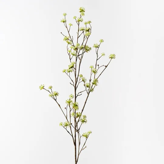 Cornus Spray White 140cm - Pack of 6