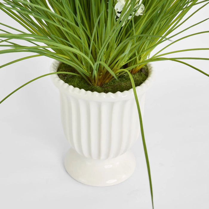 Cream Foxtail Arrangement 80cm in White Pot