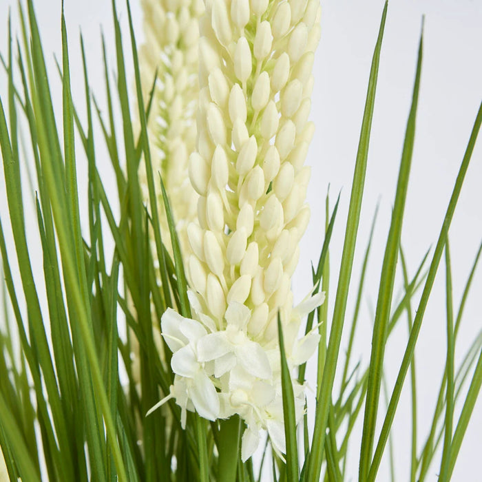 Cream Foxtail Arrangement 80cm in White Pot