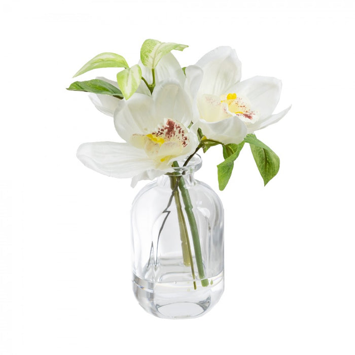 Cymbidium Orchid In Bottle Vase 22cm Set of 2