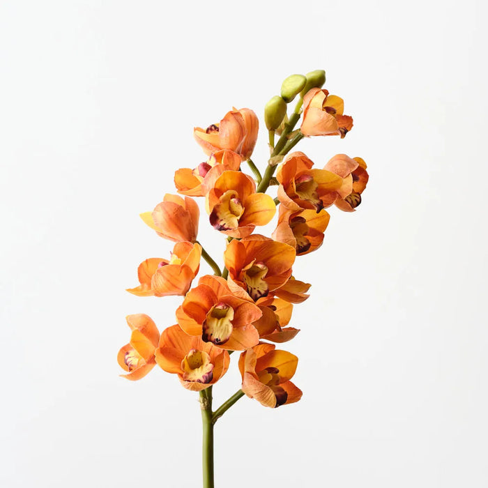 Cymbidium Orchid Orange 83cm, Pack of 6