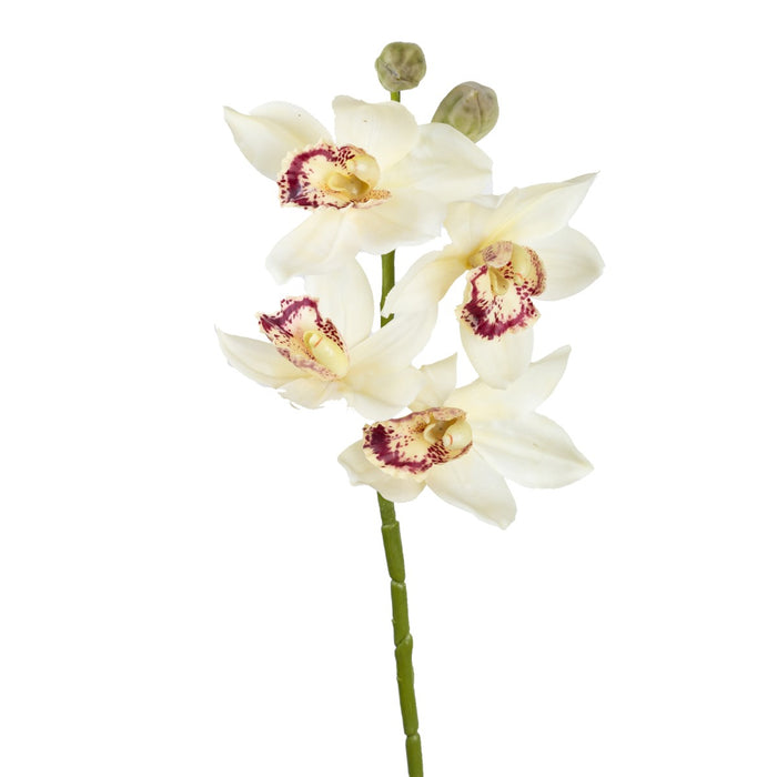 Cymbidium Orchid Spray 76cm Cream Set of 6