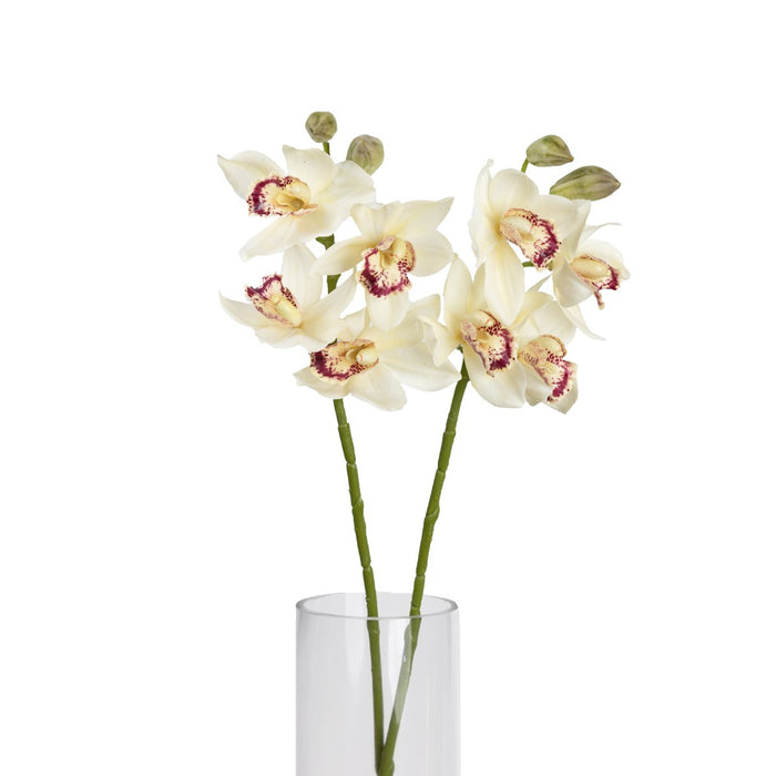 Cymbidium Orchid Spray 76cm Cream Set of 6