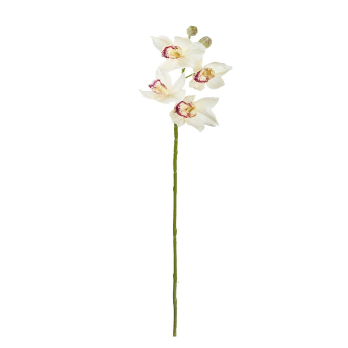 Cymbidium Orchid Spray 76cm Cream Set of 6