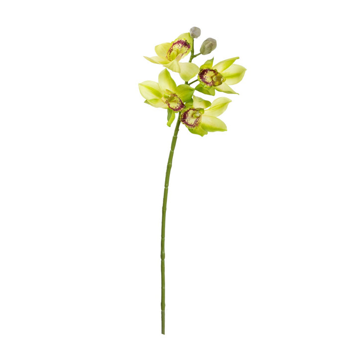 Cymbidium Orchid Spray 76cm Green Set of 6