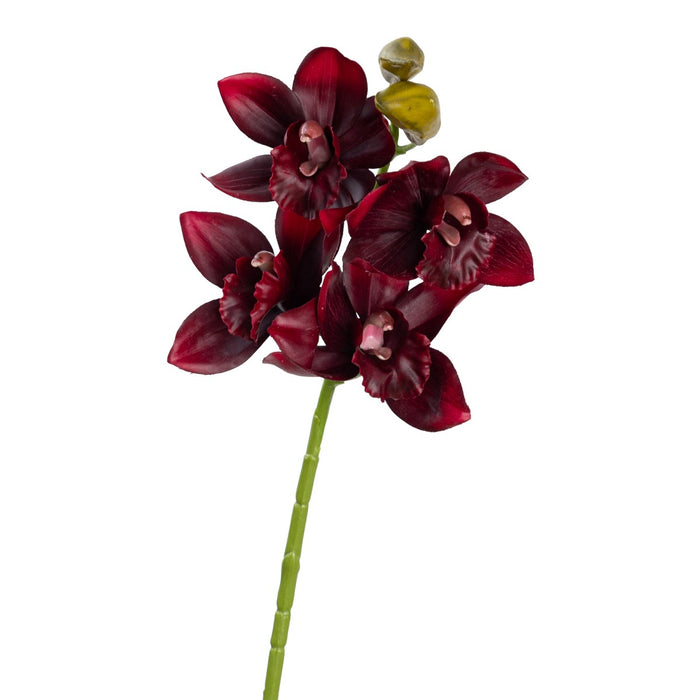 Cymbidium Orchid Spray 76cm Wine Red Set of 6