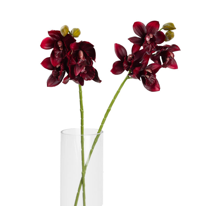 Cymbidium Orchid Spray 76cm Wine Red Set of 6