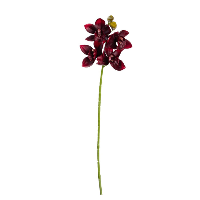 Cymbidium Orchid Spray 76cm Wine Red Set of 6