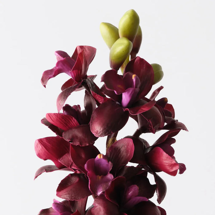 Cymbidium Orchid Wine Red 83cm, Pack of 6